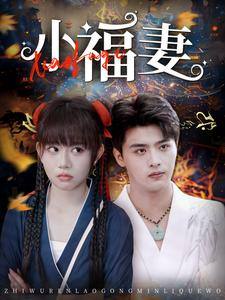 小福妻（62集）精彩好看的短剧