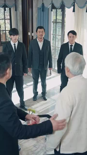 仙品龙婿（112集）古装短剧推荐