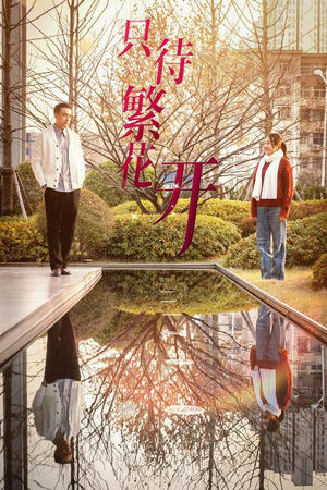 只待繁花开（35集）短剧