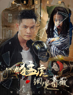 心有猛虎细嗅蔷薇（65集）热播古装短剧