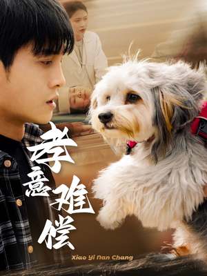 孝意难偿(32集) 孝意难偿(32集)在哪个平台能看