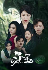 寻玉（77集）完整版免费观看