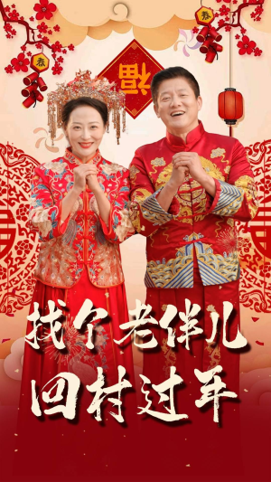 找个老伴儿回村过年（58集）免费全集短剧