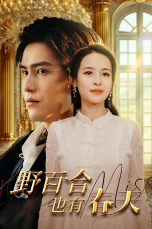 野百合也有春天（85集）最新短剧抢先看