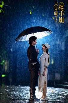 又见面了楼小姐（68集）简直不要太好看