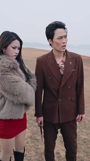 岛上升明月（60集）在哪个平台能看