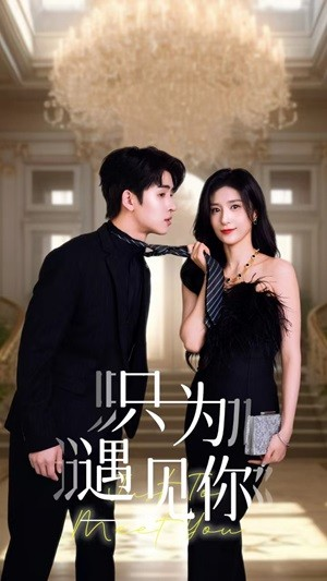 只为遇见你（88集）爆款短剧推荐