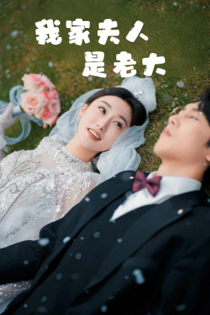 我家夫人是老大（41集）在哪个平台看好