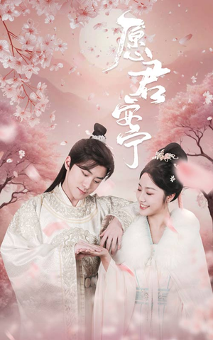 愿君安宁（34集）在线观看