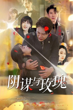 阴谋与玫瑰（31集）最火短剧推荐