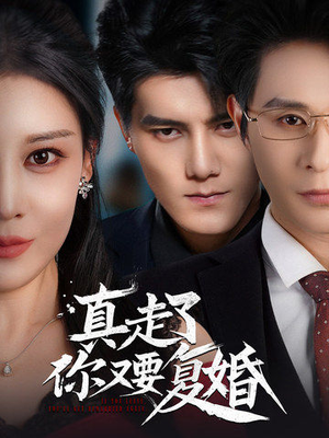 真走了你又要复婚（60集）一共多少集