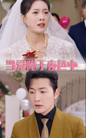 当爱隐于夜色中（37集）一共多少集