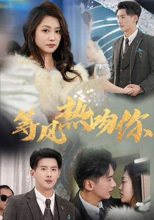 等风热吻你（31集）在哪看免费