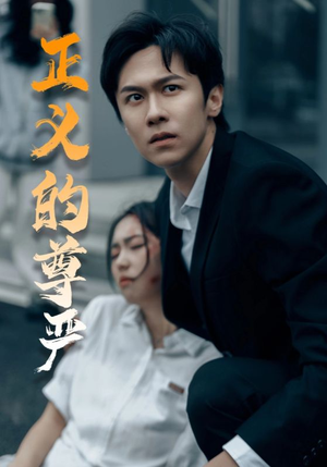 正义的尊严（35集）360网盘观看