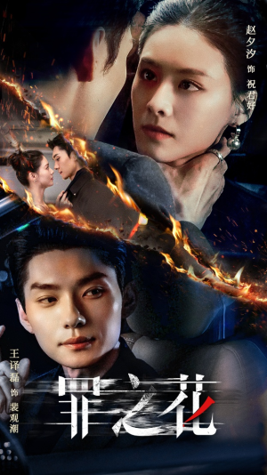 罪之花（56集）每日分享短剧