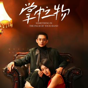 掌中之物（62集）热播短剧重燃