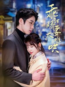 乖甜娇妻太难哄（100集）短剧解说热门