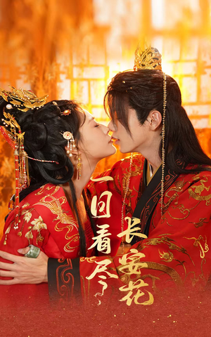 一日看尽长安花（58集）小短剧推荐