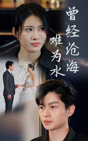 曾经沧海难为水（30集）高清画质免费看