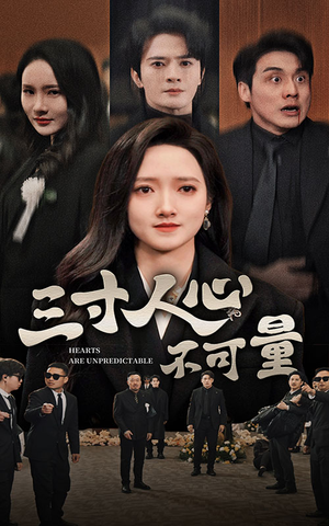 三寸人心不可量（60集）哪个网站可以看