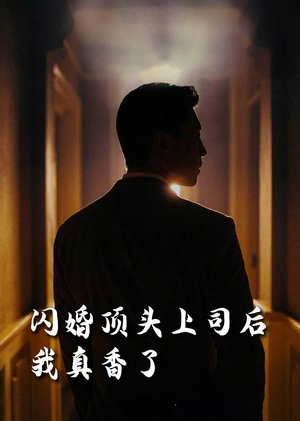 闪婚顶头上司后我真香了（80集）全集免费