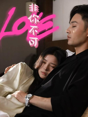 非你不可（48集） 经典老剧免费看