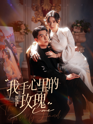 我手心里的玫瑰（91集） 80到100集