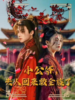 小公爷夫人回来救全族了（100集） 解说