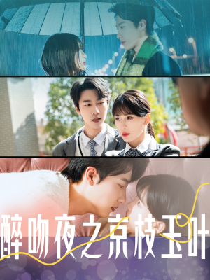 醉吻夜之京枝玉叶（90集） 深深爱上这部剧