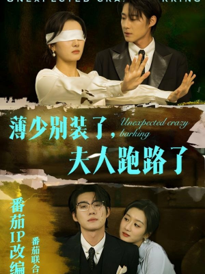 薄少别装了夫人跑路了（60集） 精彩短剧来袭