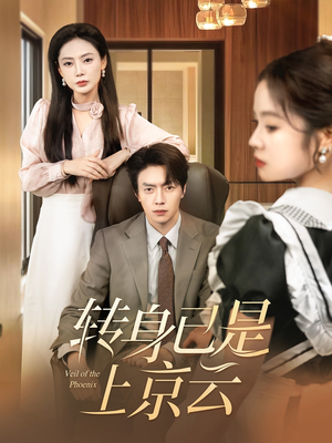转身已是上京云（88集）剧情简介