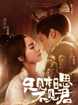 只见相思不见君（82集） 百度网盘在线看