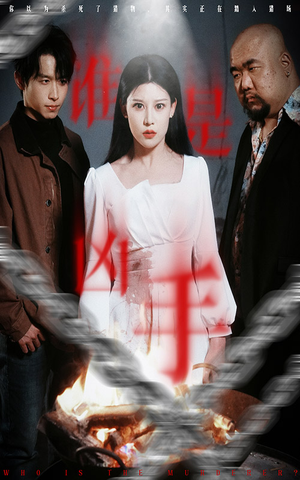 谁是凶手（31集） 追风的女孩短剧