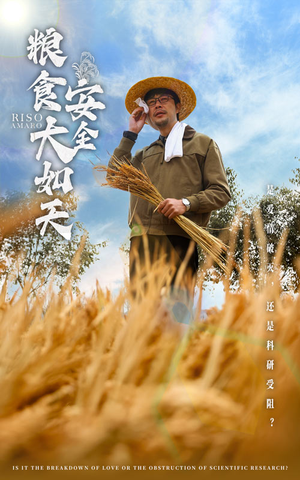 粮食安全大如天（43集） 哪个网站可以看