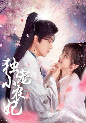 独宠小农妃（63集） 看短剧放松一下