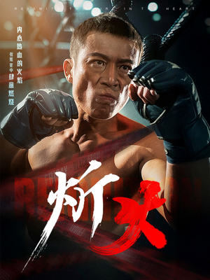 炘火（62集） 每日短剧追不停