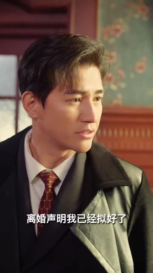 司令府就是我的家（60集）  追短剧看全集