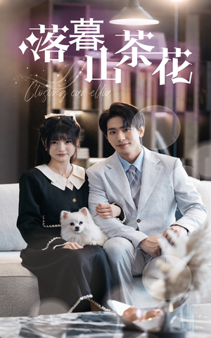 落幕山茶花（50集） 在哪个平台能看