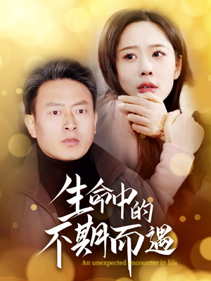 生命中的不期而遇（35集） 完整版