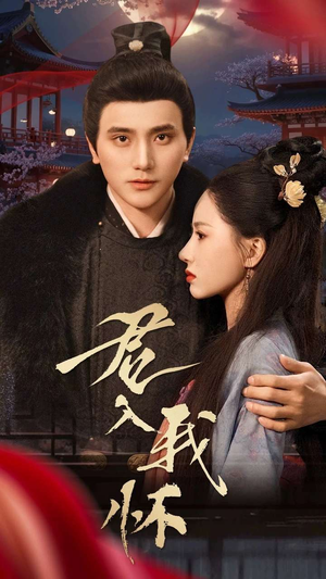 君入我怀（60集） 剧情简介