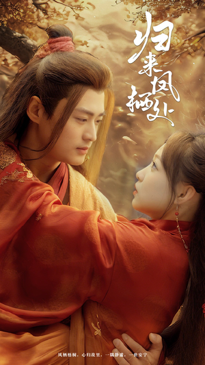 归来凤栖处（60集） 爆火短剧追不停