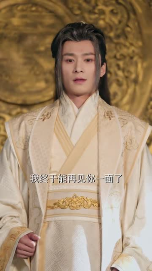 错把山河葬相思（60集）全集免费