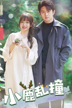 小鹿乱撞（40集） 集免费看短剧