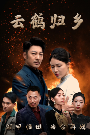 云鹤归乡（65集） 短剧太好看