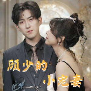 顾少的小宠妻（90集）海量短剧免费看