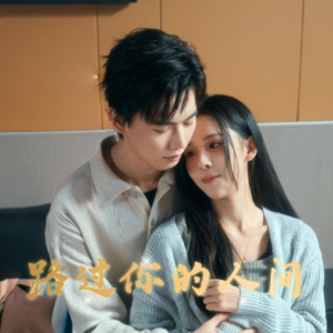 路过你的人间（31集）独家短剧免费看