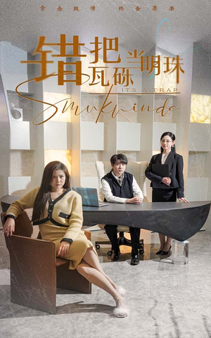 错把瓦砾当明珠（55集） 演的怎么样