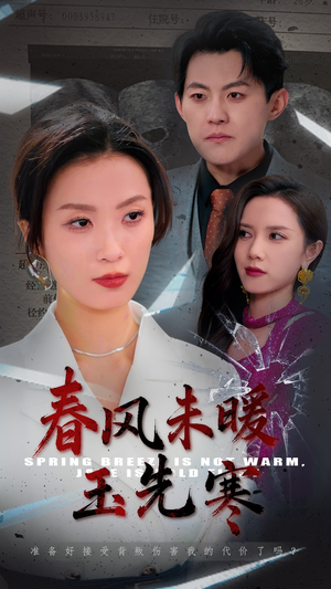 春风未暖玉先寒（32集）网上可以看吗