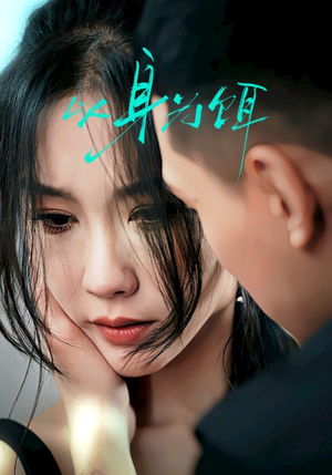 以身为饵（31集）一共多少集