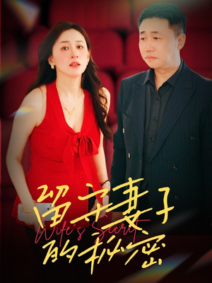 留守妻子的秘密（28集）免费看全集